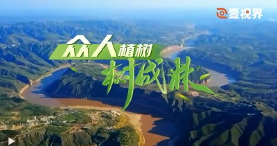 壹视界·微视频｜众人植树树成林