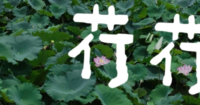 湖北黄石：捕捉“野生”汉字 让万物说话