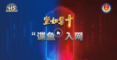 国安重磅案例之“‘谍鱼’入网”