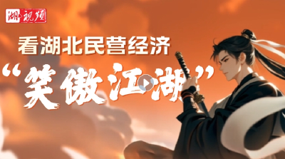 出招！看湖北民营经济“笑傲江湖”