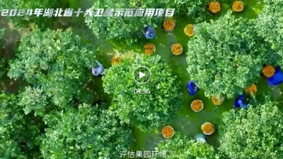 拖拉机“无人驾驶”！湖北这些项目都用上了卫星