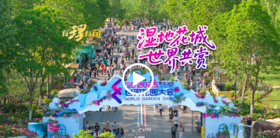 【有理有句】湿地花城，世界共赏