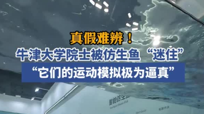 今天，这些湖北数字化教育里的“尖板眼”频频出圈！