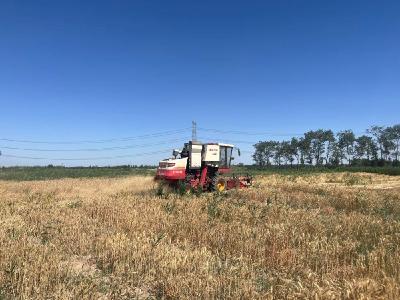 时政微观察丨牢牢守住耕地保护红线，总书记念兹在兹