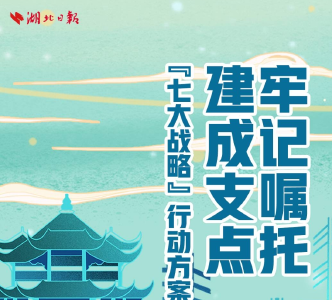 电子书丨“七大战略”行动方案厅局长访谈