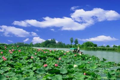 这道考题，荆州这样作答！ 