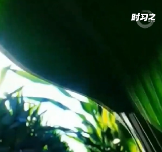 时习之丨采取“长牙齿”的硬措施保护耕地