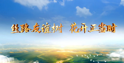 大道之行丨丝路友谊树 花开正当时
