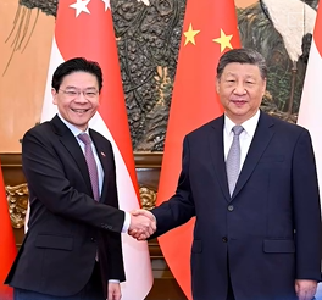 联播+｜中新合作树标杆