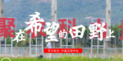 学习知行·中国式现代化丨在希望的田野上