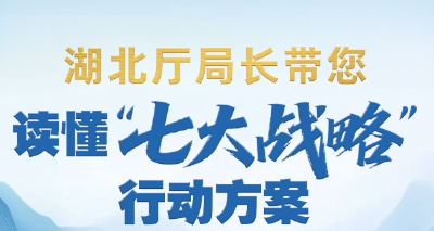 收藏丨“七大战略”行动方案厅局长访谈视频集锦来了！