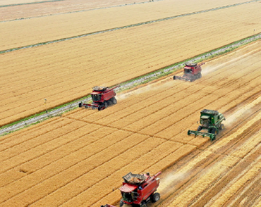 一习话｜“中国人要把饭碗端在自己手里”