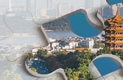 支点建设，湖北有多“拼”？