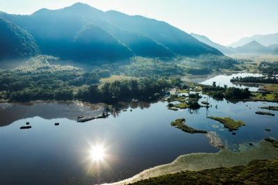 探秘神农架：从野人传说到绿色奇迹