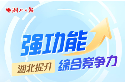 强功能 筑牢区域协调发展战略支撑