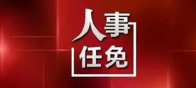 武穴最新人事任免