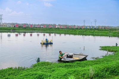 活力中国调研行｜潜江鲜虾跃动四季，虾农：以前靠天吃饭，现在四季赚钱