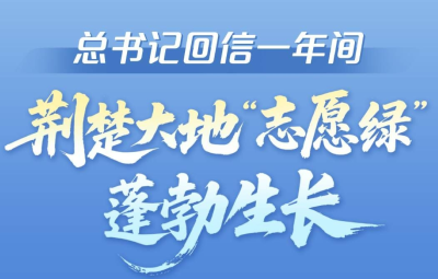 总书记回信一年间，这抹“志愿绿”蓬勃生长