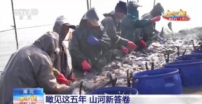 湖北交出山河新答卷 来看荆楚大地这五年的变化