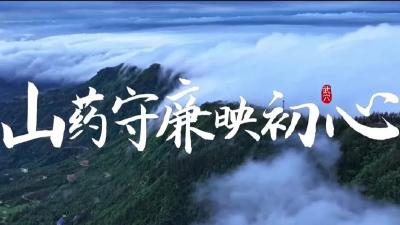 “清廉武穴”廉洁文化作品展播丨山药守廉映初心