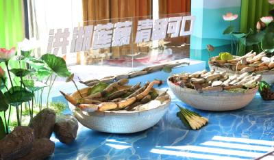 荆州：守护一江碧水绘就生态画卷