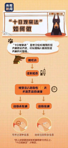 @武穴人，养宠新规来了！遛狗不拴绳，最高拘10天 