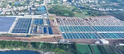 就业“长”在产业上 | 宜都：打造“金名片” 捧起“金饭碗”