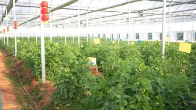 奋战一季度 勇夺开门红丨246亩！1.2亿产值！武穴航天生态园靠黑科技“狂飙”开门红