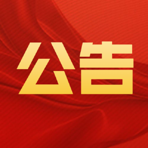 关于2026年武穴市春节灯展期间对部分道路实施临时交通管制的通告