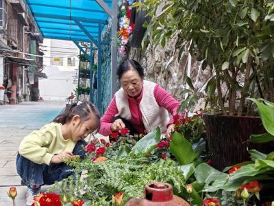 "花匠"来敲门，改变了什么？