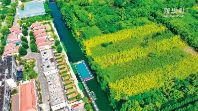 长江·十年·十村｜新春走基层