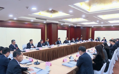 湖北代表团审议关于政府工作报告的决议草案等