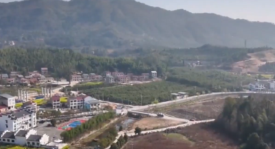 代表委员回基层