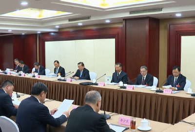 湖北代表团审议关于全国人大常委会工作报告的决议草案等