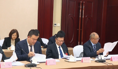 湖北代表团审议关于全国人大常委会工作报告的决议草案等