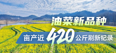 “种子芯片”向总书记报喜