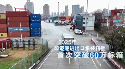 闪亮的足迹·湖北答卷 | 稳中向好 量质并进 经济大省挑大梁