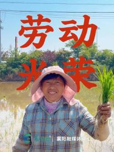 嘿！干杯！今天，敬你！