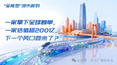一家拿下全球首单，一家估值超200亿，下一个风口要来了？