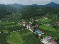 “高山避暑嘉年华”活动图集