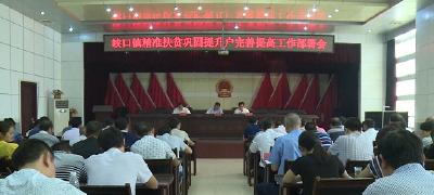 峡口镇安排精准扶贫巩固提升户完善提高工作
