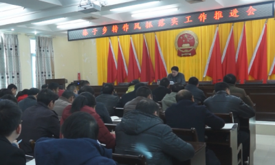 榛子南阳召开转作风抓落实工作推进会