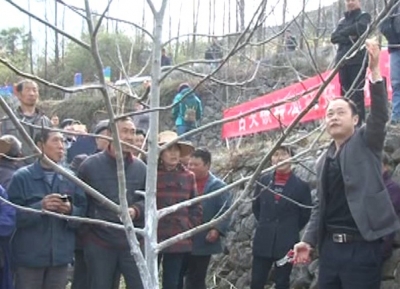 古夫镇启动精准扶贫核桃产业培训