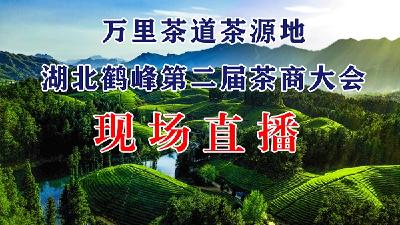 直播||万里茶道茶源地·湖北鹤峰第二届茶商大会