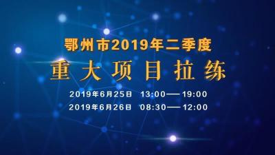 全程聚焦|鄂州市2019年二季度重大项目拉练