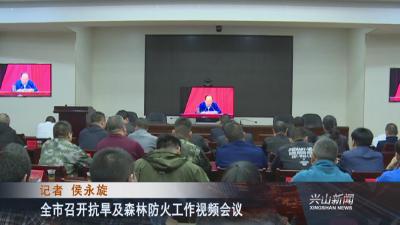全市召开抗旱及森林防火工作视频会议