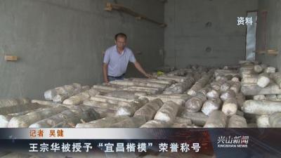 王宗华被授予“宜昌楷模”荣誉称号