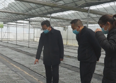 曹宏伟到榛子乡调研督导春耕生产及精准扶贫工作