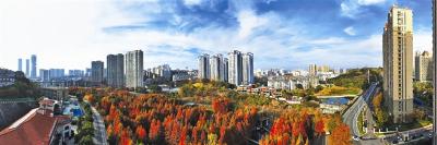 人民阅卷，秀美宜昌共见证 ——宜昌荣膺“中国十大秀美之城”背后的幸福密码