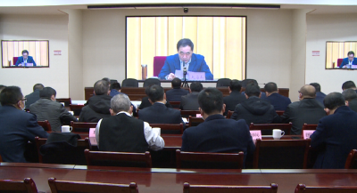 以招商精彩保障全年精彩 以高质量招商推动高质量发展